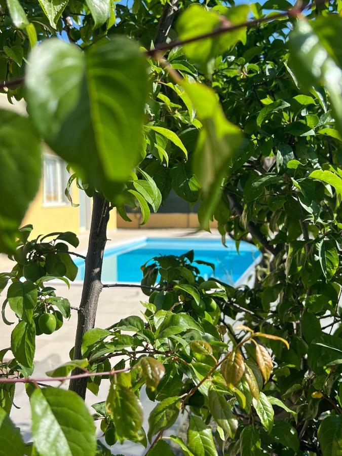 Casa Vacanze Mare Fuori Capoterra Extérieur photo